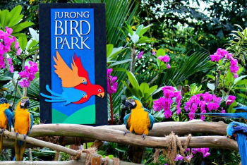 Đến Singapore tham quan vườn chim Jurong