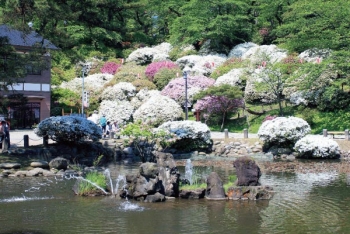 Top 6 điều cần làm khi đến du lịch thành phố Akita, Nhật Bản.